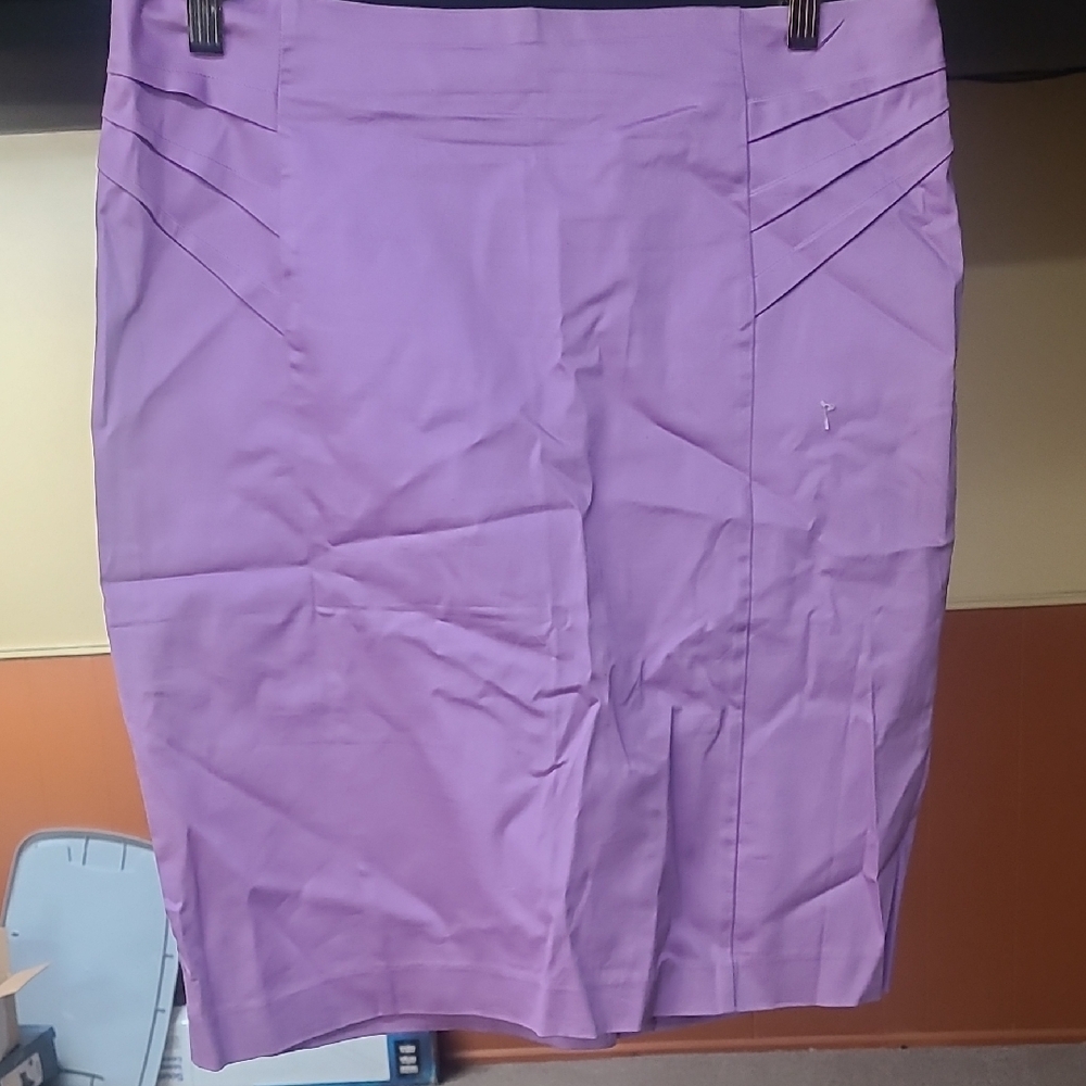 Elegant Purple Women's Skirt